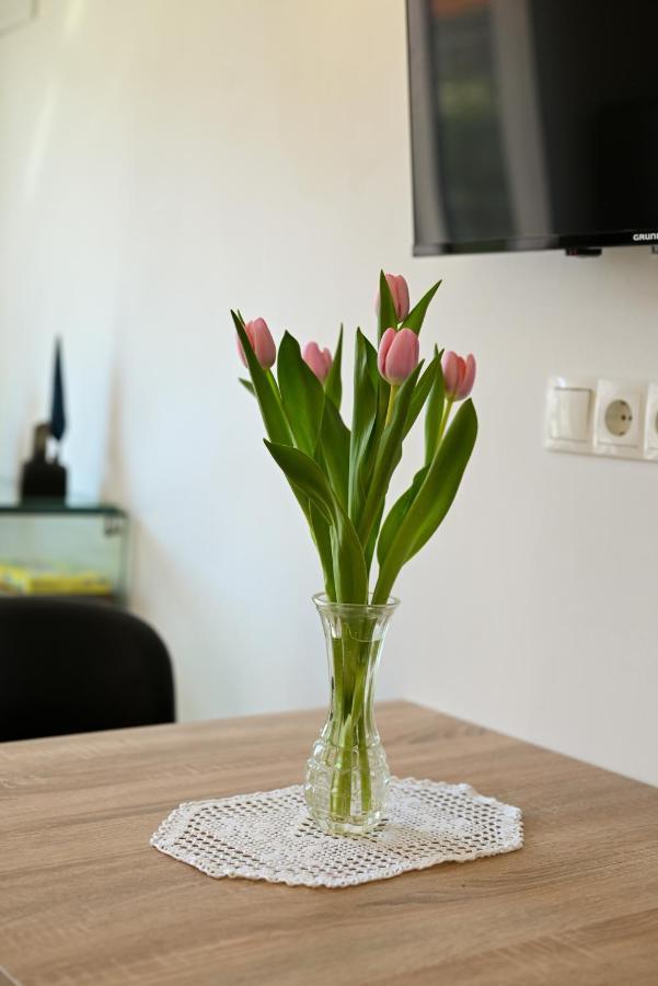 טרוגיר Apartments Art מראה חיצוני תמונה